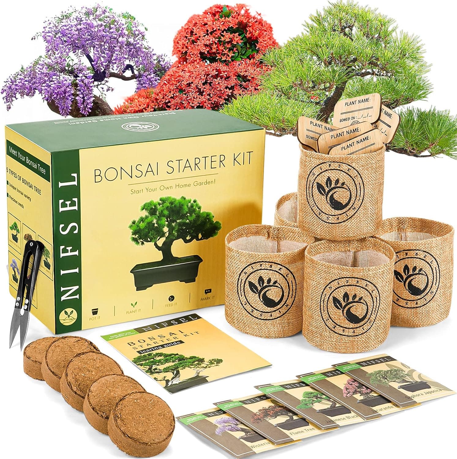 Bonsai Tree kit